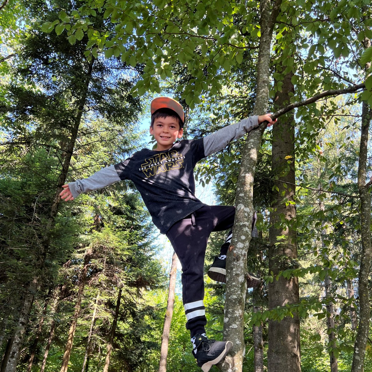 Junge klettert im Wald auf einen Baum und lacht dabei.